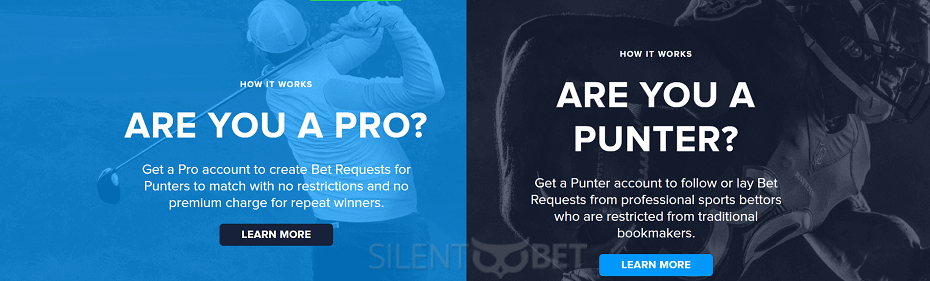Pro and Punter accounts