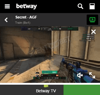 betway tv esports live streaming example