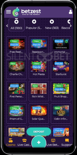 BetZest Casino Mobile Version