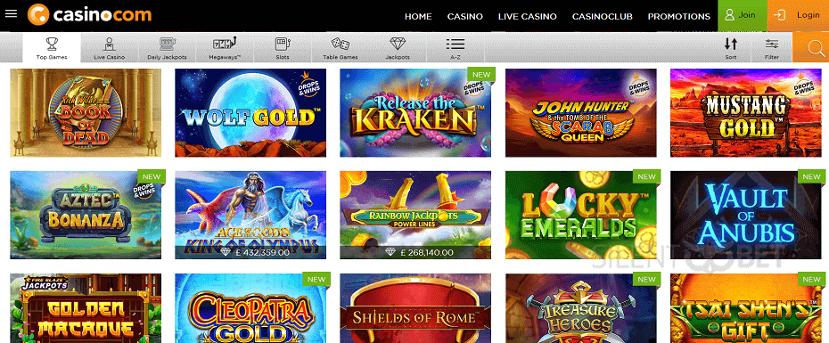 Casino com website