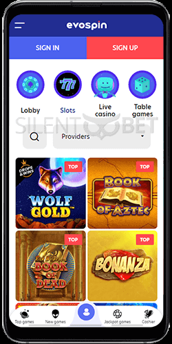Evospin Casino Mobile Version