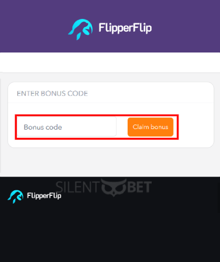 FlipperFlip Bonus Code Enter
