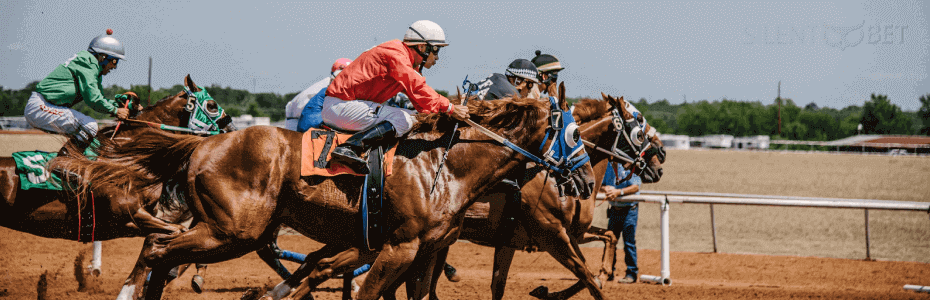 Horse Racing Long Odds