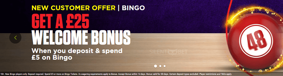 Bingo Welcome Offer in Ladbrokes