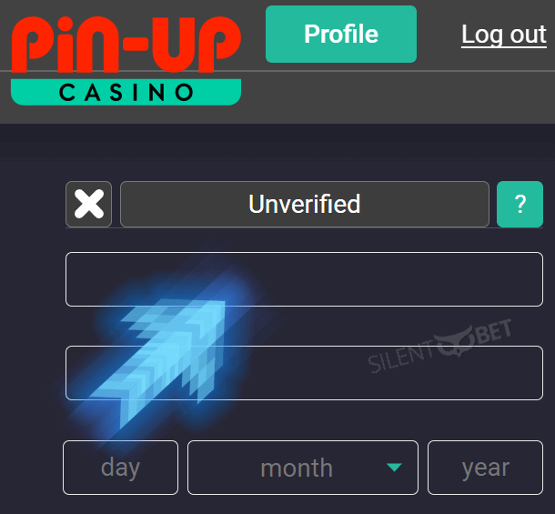 How to verify my Pin Up casino account