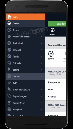 Pinnacle mobile menu thru Android