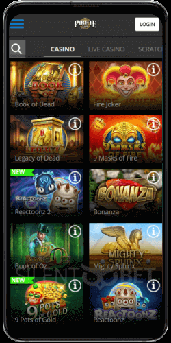 PirateSpin Casino Mobile Version