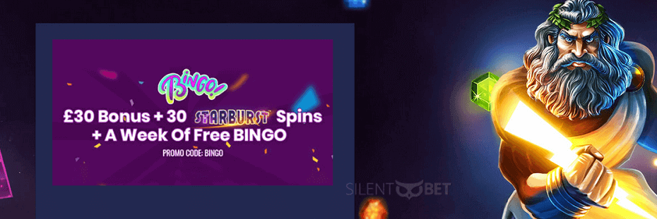 PlayUK welcome bingo bonus