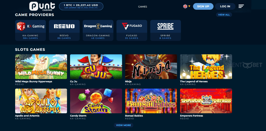 Punt Casino desktop screenshot