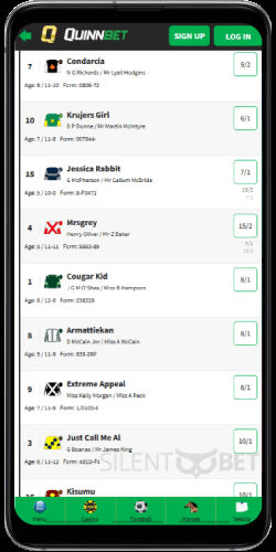 QuinnBet mobile horse racing bets on Android