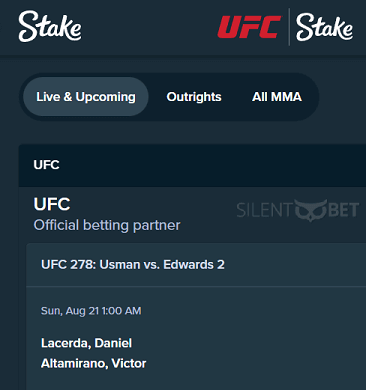 How to place a Stake UFC bet