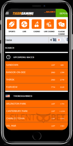 TigerGaming mobile esports betting thru iPhone