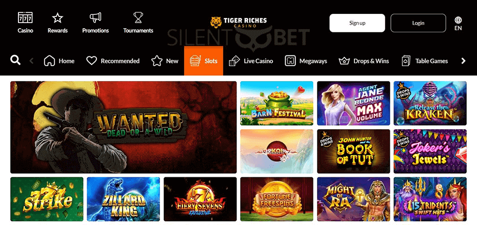TigerRiches Casino Games