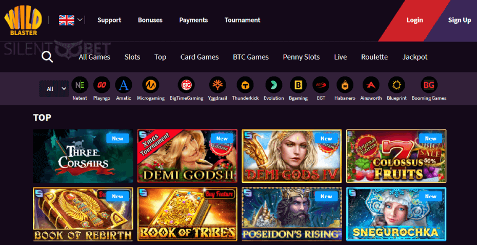 wildblaster casino homepage
