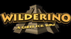 Wilderino Logo