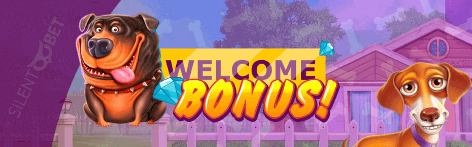 Will's Casino Welcome Bonus